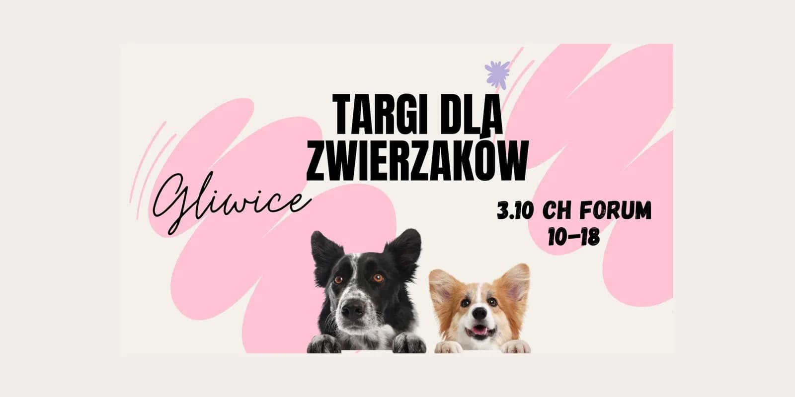 A light background with pink abstract shapes features two dogs, a black and white dog on the left and a Corgi on the right, peering over a white ledge, with event text in Polish about a pet fair in Gliwice.